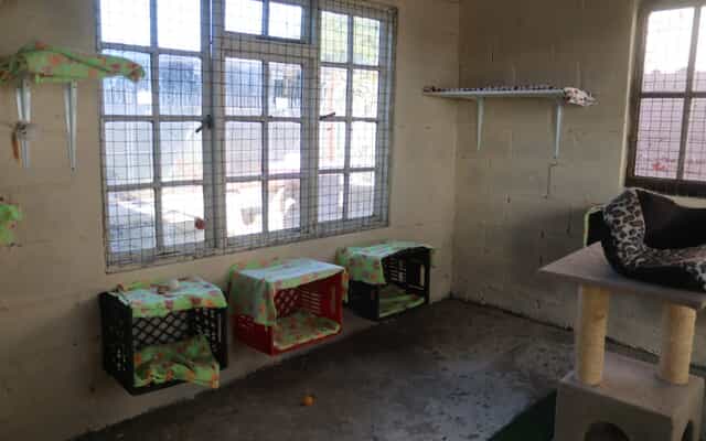 WhatsApp_Image_2025_07_08_at_20.15.44_648346b8_3_1753339833