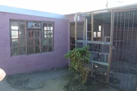 BARC's Cattery Just Got Bigger!