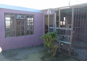 BARC's Cattery Just Got Bigger!