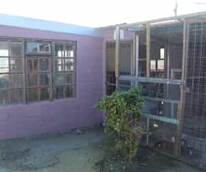 BARC's Cattery Just Got Bigger!