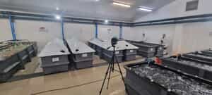 Purging System Installation - Abalone Farm