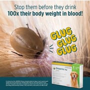 Stop Ticks in Their Tracks with SIMPARICA!