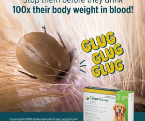 Stop Ticks in Their Tracks with SIMPARICA!