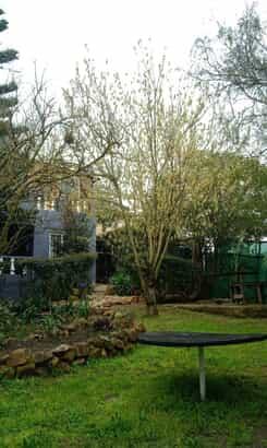 WhatsApp_Image_2025_07_25_at_09.58.23_2__1753436277