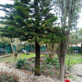 Rambling Rose Accommodation