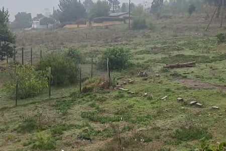 WhatsApp_Image_2025_07_24_at_11.51.56_1753436467