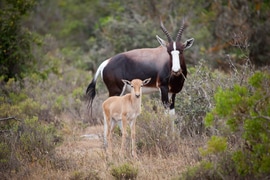 State of Conservation Report