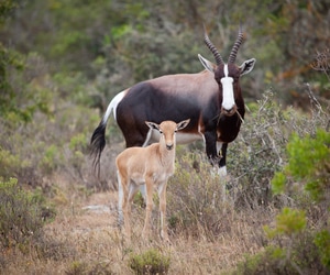 State of Conservation Report