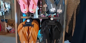 524290606_1301236095335941_3461573386503799545_n_1753696550