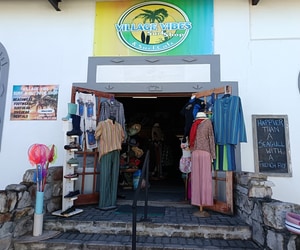 A Super Sunny Day Calls for Coastal Adventures!