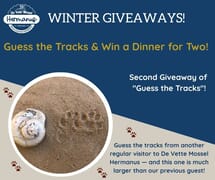 Second Giveaway of "Guess the Tracks"!