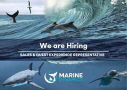 Sales and Guest Host (Gansbaai)