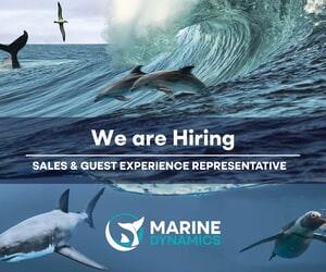 Sales and Guest Host (Gansbaai)