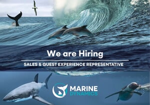 Sales and Guest Host (Gansbaai)