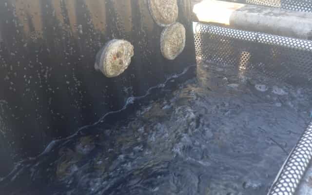 WhatsApp_Image_2025_07_31_at_11.14.15_4_1753953598