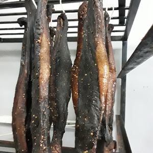 20250719_101508_1753966631