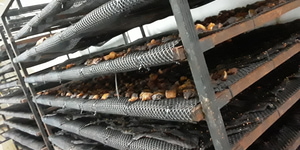 20250719_101520_1753966633