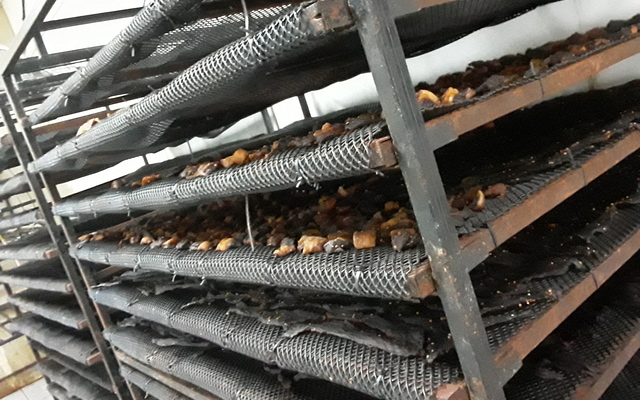 20250719_101520_1753966633