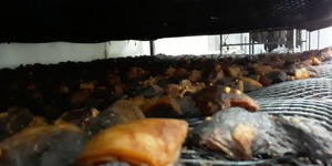 20250719_101611_1753966634