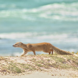 Slinky_lines_1754031851