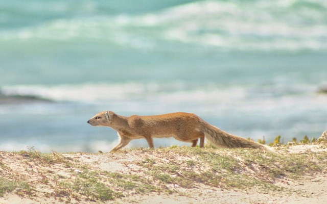 Slinky_lines_1754031851