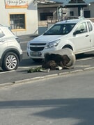 Help Us Beautify Gansbaai - Tools Needed!