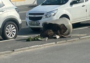 Help Us Beautify Gansbaai - Tools Needed!