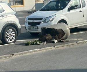 Help Us Beautify Gansbaai - Tools Needed!