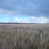 Why Your Anger Feels Out of Control - Break the Cycle