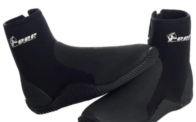 527793540_1308333017959582_7149999264984360733_n_1754377090