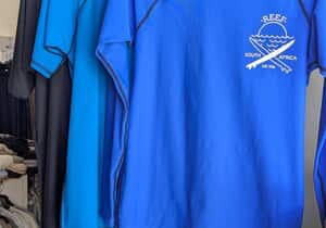 Ready for Your Next Adventure?