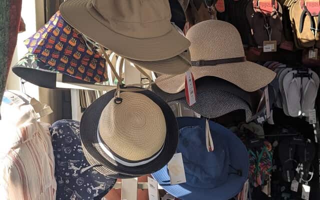 527500216_1336728708457297_8819882342743003410_n_1754377368