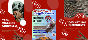 Jan Biltong Doggy Treats