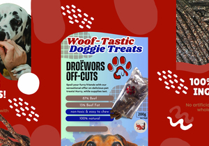 Jan Biltong Doggy Treats