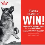 524990411_1316487783814313_6444988890525353849_n_1754481219