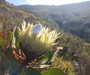 Winter Wonders at Grootbos Reserve