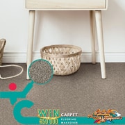 Masterpiece Elite Carpet