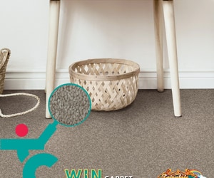 Masterpiece Elite Carpet