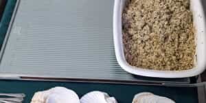 WhatsApp_Image_2025_08_11_at_08.37.16_1_1754894617