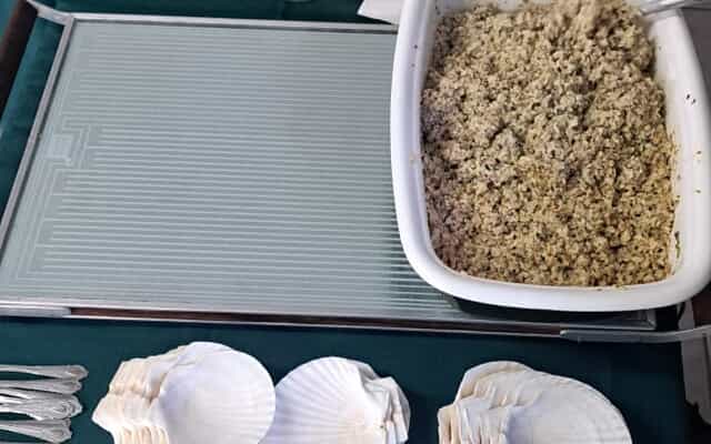 WhatsApp_Image_2025_08_11_at_08.37.16_1_1754894617