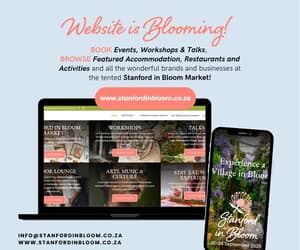 The Stanford in Bloom website is now LIVE!