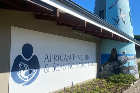 Featured_1_1__1754918755