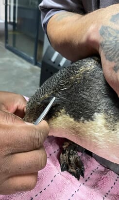 Featured_2_1754918772