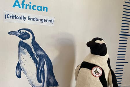 Featured_3_1754918785