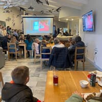 Penguin - African Penguin & Seabird Sanctuary - Xplorio™ Gansbaai