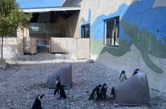 Featured_5_1754918814