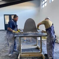 Penguin - African Penguin & Seabird Sanctuary - Xplorio™ Gansbaai