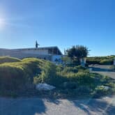 Exterior - African Penguin & Seabird Sanctuary - Xplorio™ Gansbaai