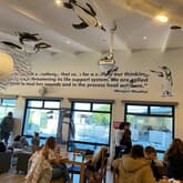 Penguin - African Penguin & Seabird Sanctuary - Xplorio™ Gansbaai