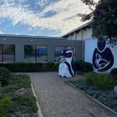 Penguin - African Penguin & Seabird Sanctuary - Xplorio™ Gansbaai
